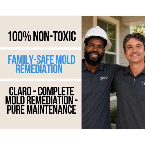 Image for Water Damage Restoration Service with ID of: 7152771