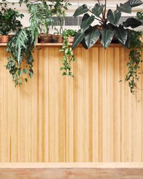 Image for Tula House with ID of: 5713416