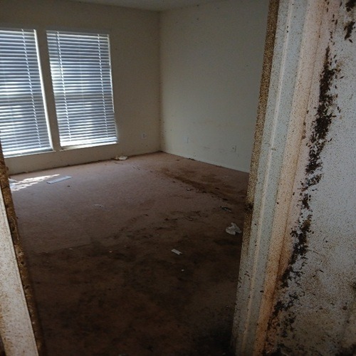 Image for Junk Shot Junk Removal with ID of: 7156816