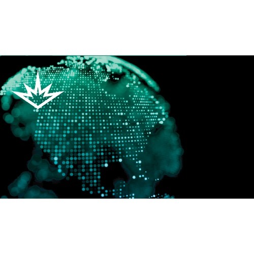 Image for RMS International with ID of: 7158830