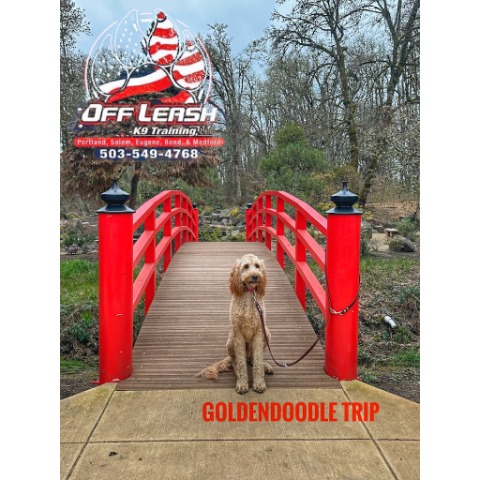 Image for Off Leash K9 Training Portland with ID of: 7160284