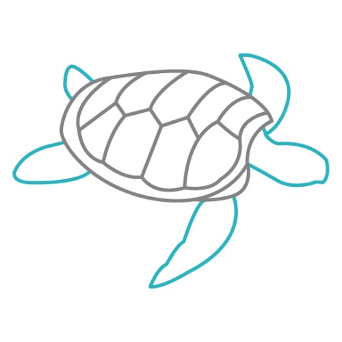 Image for Greyturtle with ID of: 7161198