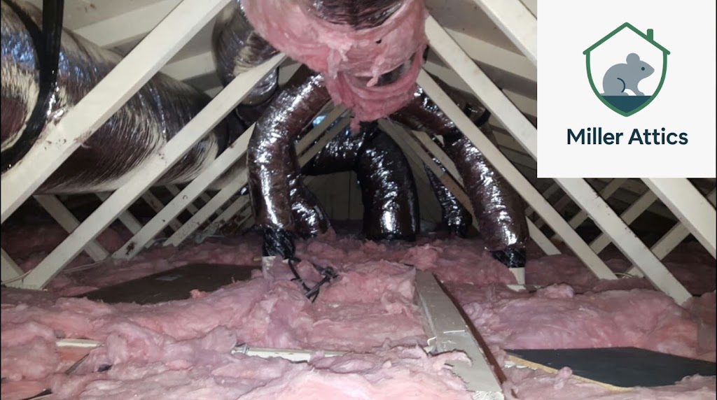 Image for Miller Attics with ID of: 7161396