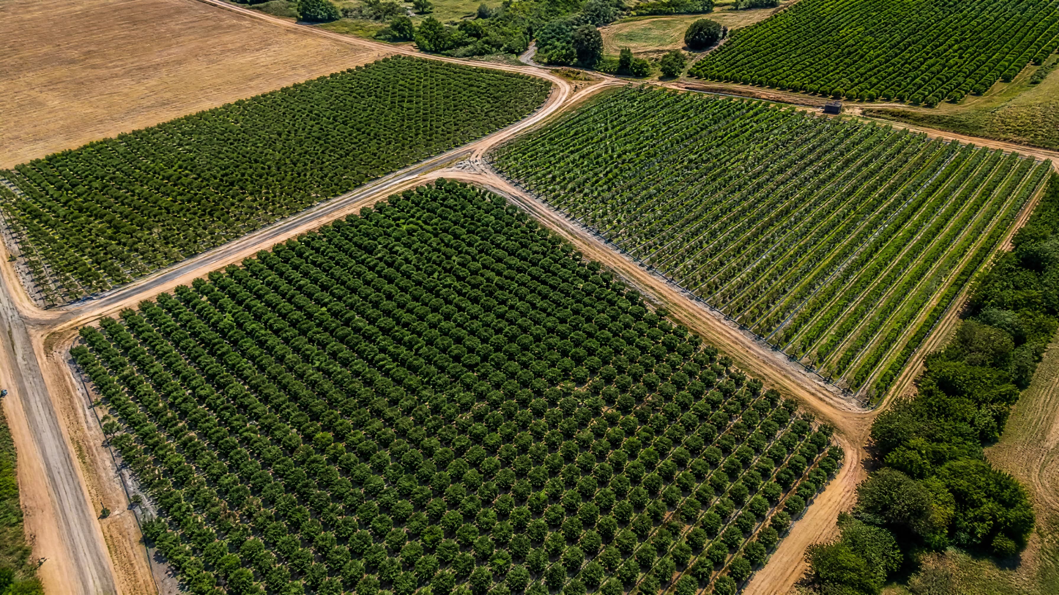 Image for California Drone Media with ID of: 7161576