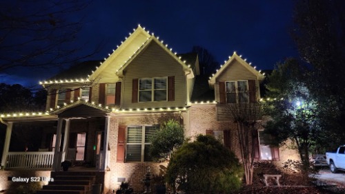 Image for Premier Christmas Lighting with ID of: 7162328