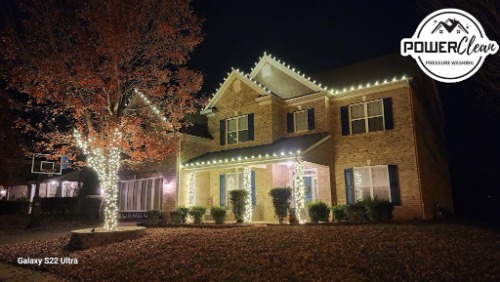 Image for Premier Christmas Lighting with ID of: 7162329