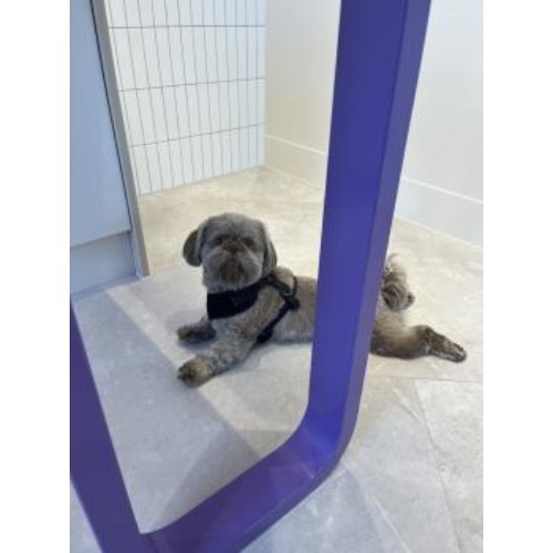 Image for Creature Comforts Vets St. Albans with ID of: 7162482