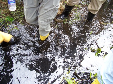 Image for Global Environmental Operations, Inc. with ID of: 7162949