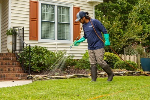 Image for Sprout Tech Turf Solutions with ID of: 7162958