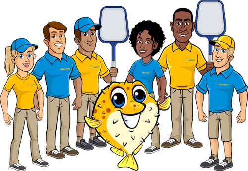 Image for Puddle Pool Services with ID of: 7163926
