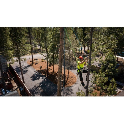 Image for Osprey Arbor Works with ID of: 7164744