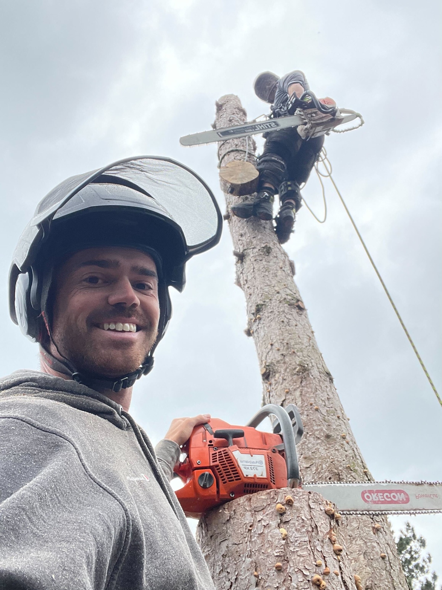 Image for Blooma Tree Experts with ID of: 7166622