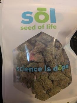 Image for Seed of Life | 32nd st with ID of: 7168935