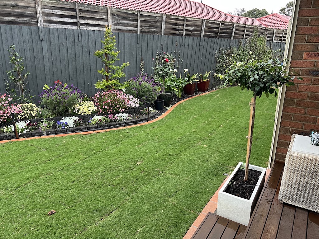 Image for Lilydale Instant Lawn with ID of: 7169042