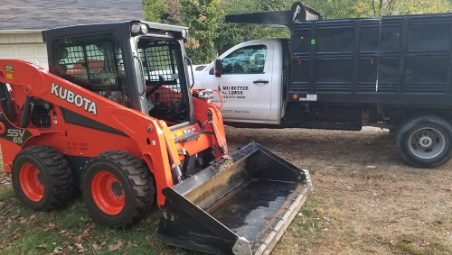 Image for Mo Better Lawns with ID of: 7173058