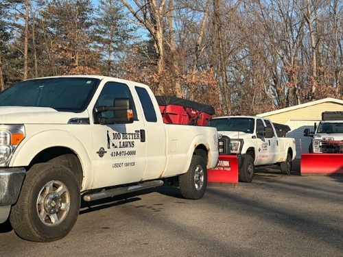 Image for Mo Better Lawns with ID of: 7173059