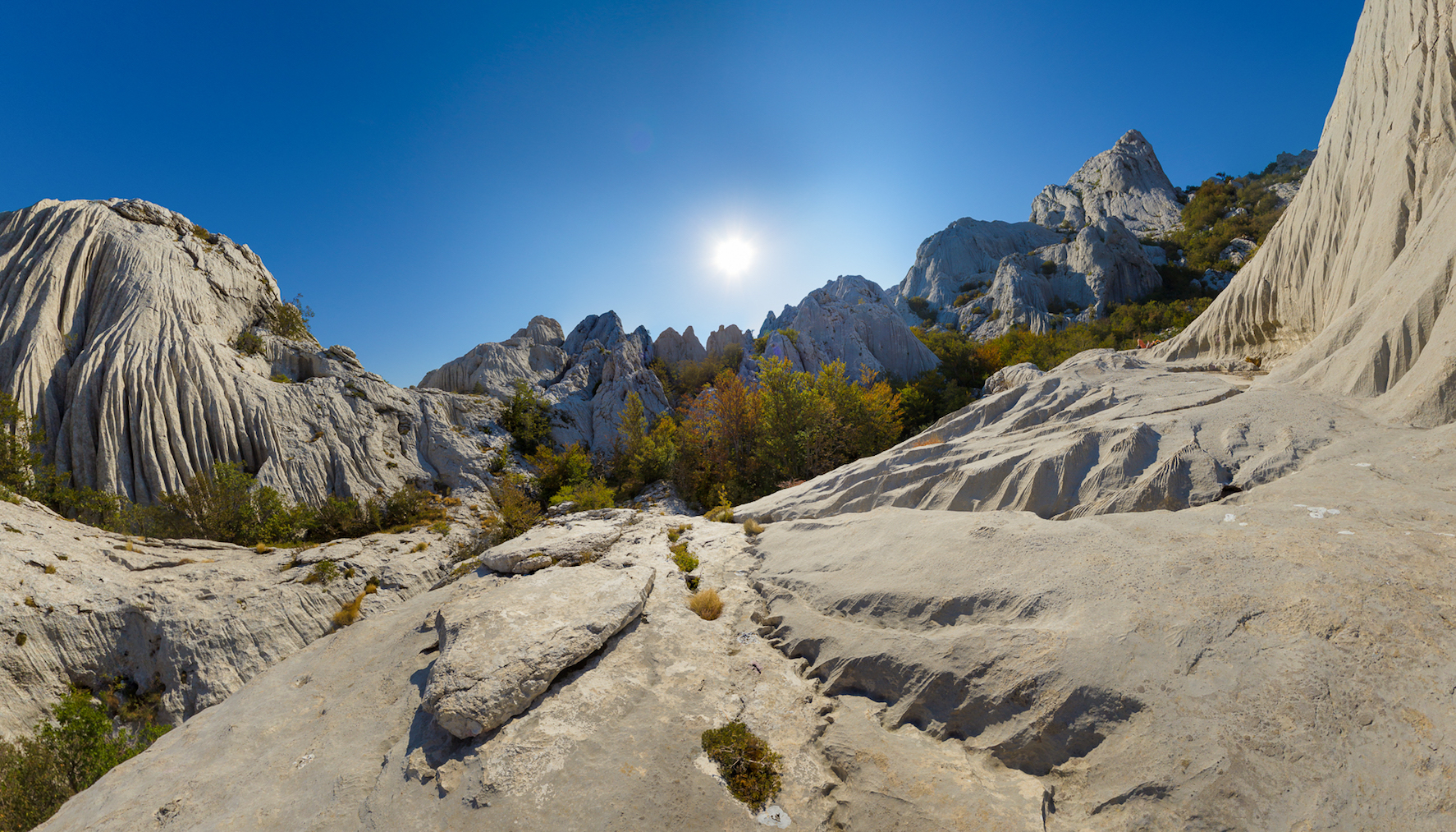 Image for Yugo Travel with ID of: 7173638