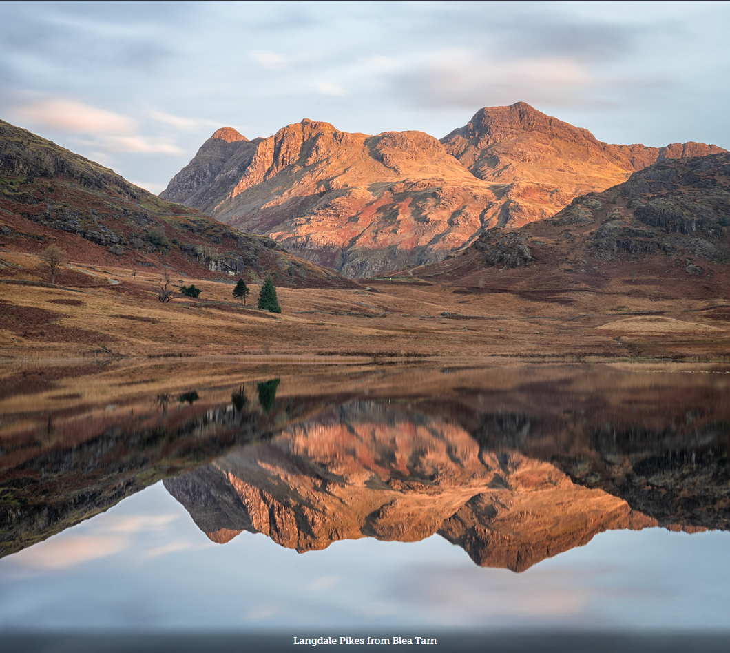 Image for Mark Hetherington with ID of: 7173996