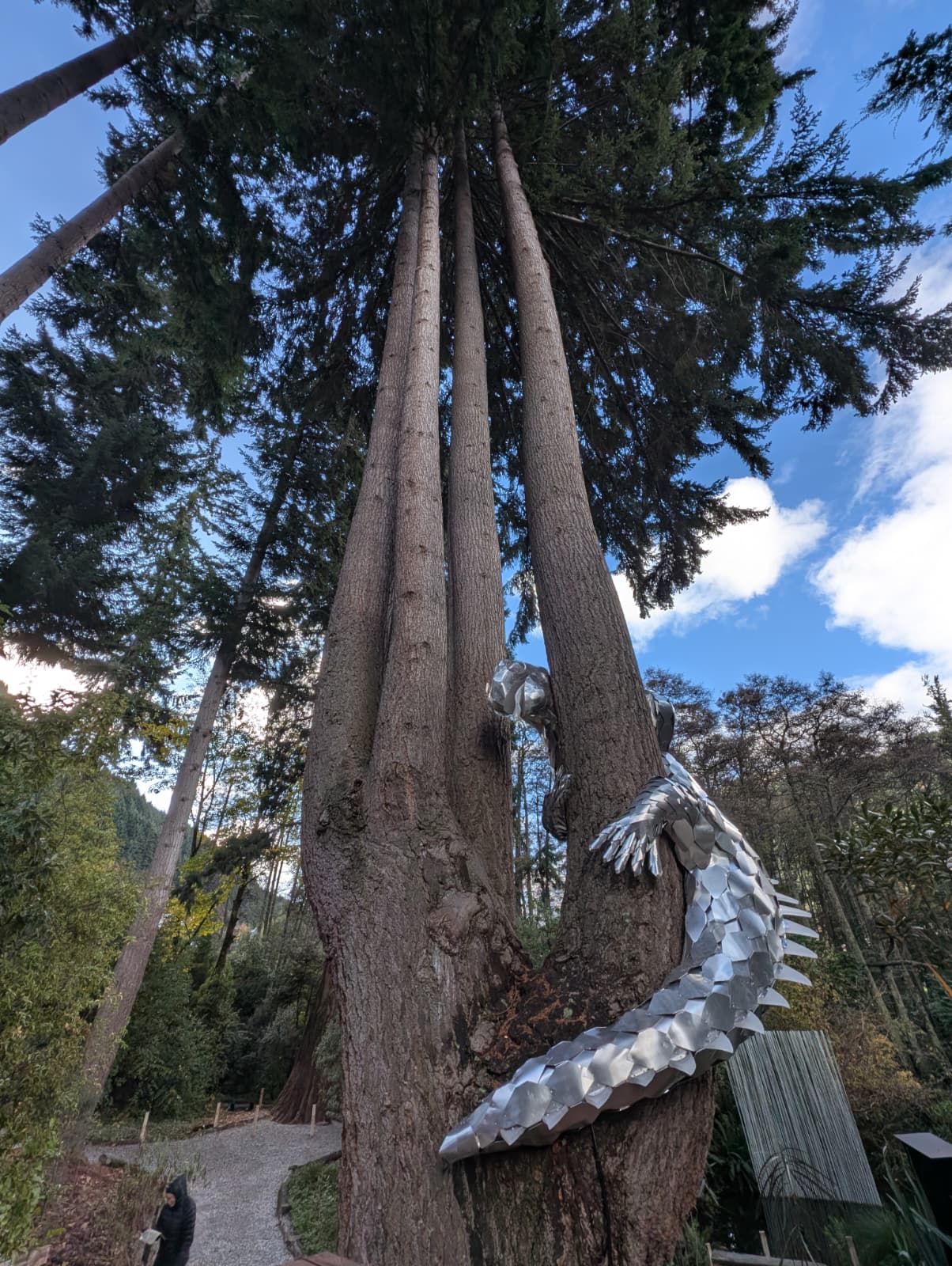 Image for Geelong Tree Consulting with ID of: 7174276