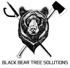 Image for Black Bear Tree Solutions with ID of: 7174268