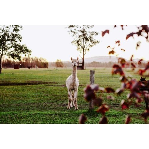 Image for Laurina Estate with ID of: 7177693