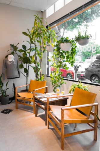 Image for Embarc Dispensary with ID of: 7178505
