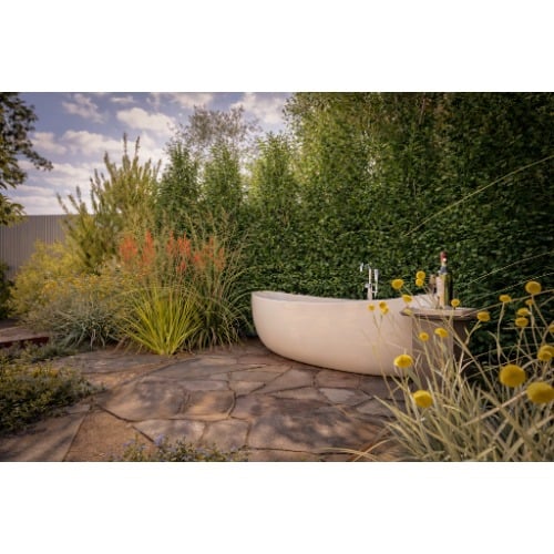 Image for Althaus Landscape Designs with ID of: 7178871