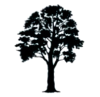 Image for Ranyak Tree Service with ID of: 7181962