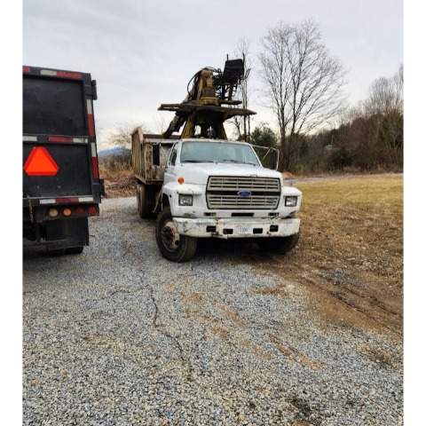 Image for AAA Don's Tree Service & Stump Removal with ID of: 7182284
