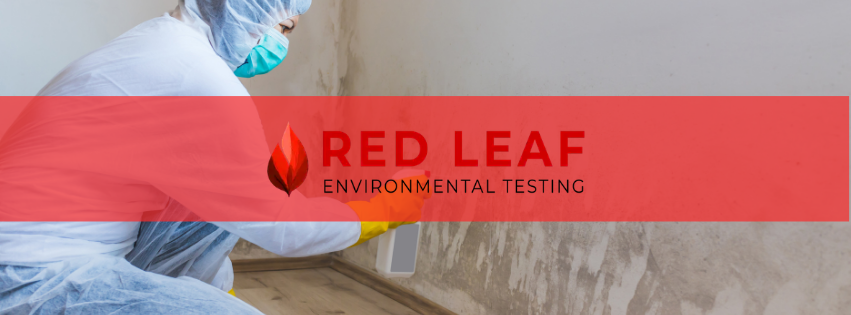 Image for Red Leaf Asbestos Testing and Consulting with ID of: 7182432