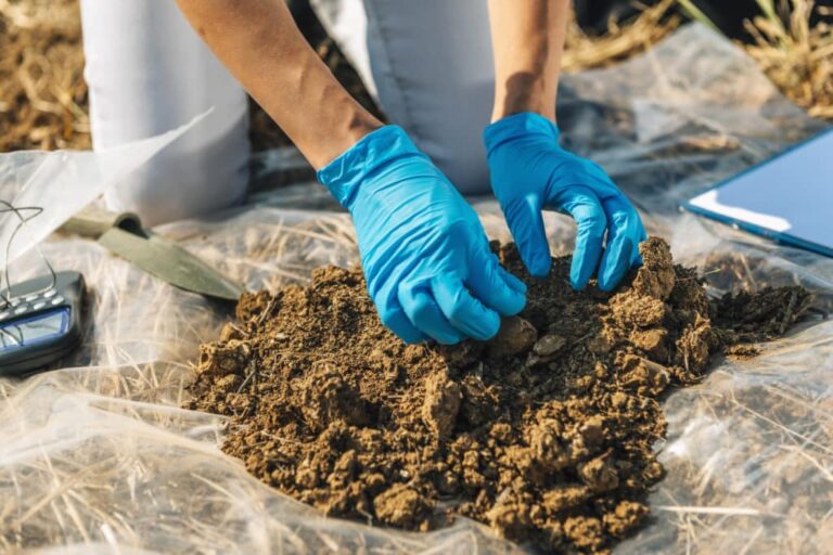 Image for Red Leaf Asbestos Testing and Consulting with ID of: 7182434