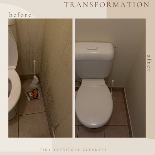 Image for Tidy Territory Cleaners with ID of: 7183812