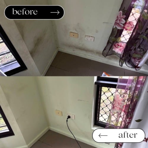Image for Tidy Territory Cleaners with ID of: 7183813