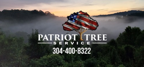 Image for Patriot Tree Experts with ID of: 7184481