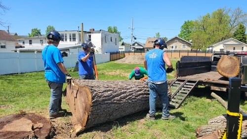 Image for Patriot Tree Experts with ID of: 7184483