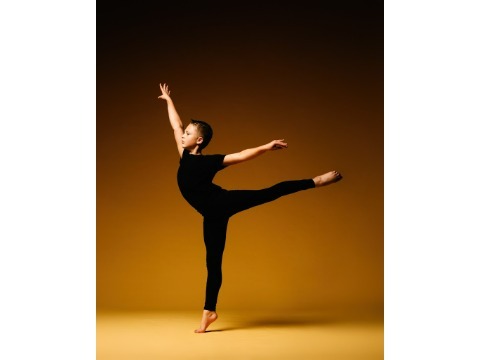 Image for Utah Dance Artists with ID of: 7185148