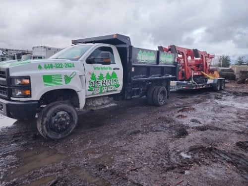 Image for Dennis Tree Service with ID of: 7185979