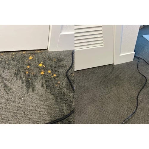 Image for Can Dye Carpets with ID of: 7186380