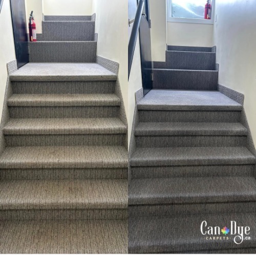 Image for Can Dye Carpets with ID of: 7186384