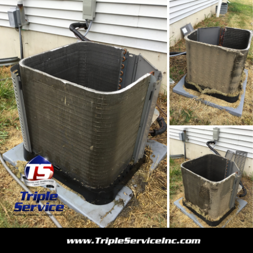 Image for Triple Service Inc. with ID of: 7186741