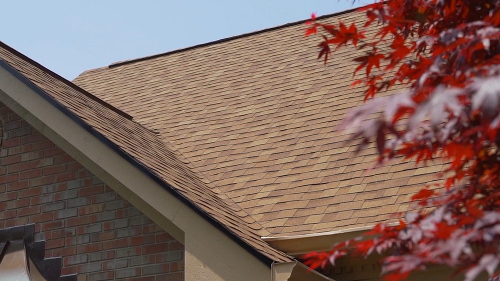 Image for Bone Dry Roofing with ID of: 7186902