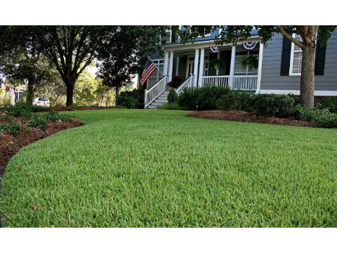 Image for St. Johns Pest Control with ID of: 6444491