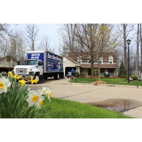 Image for Blue Men Moving with ID of: 7188728