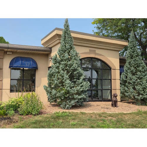 Image for Mankato Veterinary Clinic with ID of: 7191860
