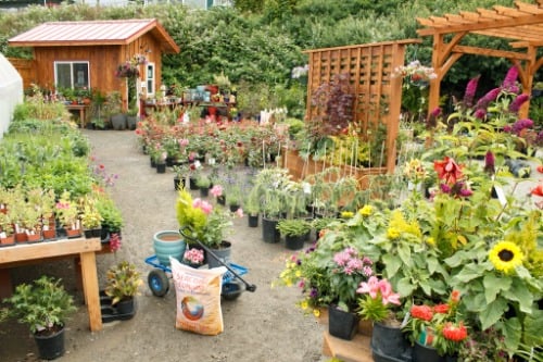 Image for SeaCoast Gardens with ID of: 7192688