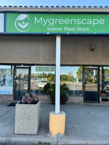 Image for Mygreenscape with ID of: 7193312