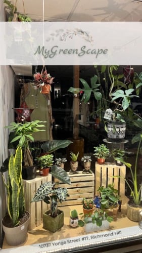 Image for Mygreenscape with ID of: 7193313