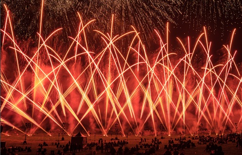 Image for Pyrotecnico with ID of: 7198595