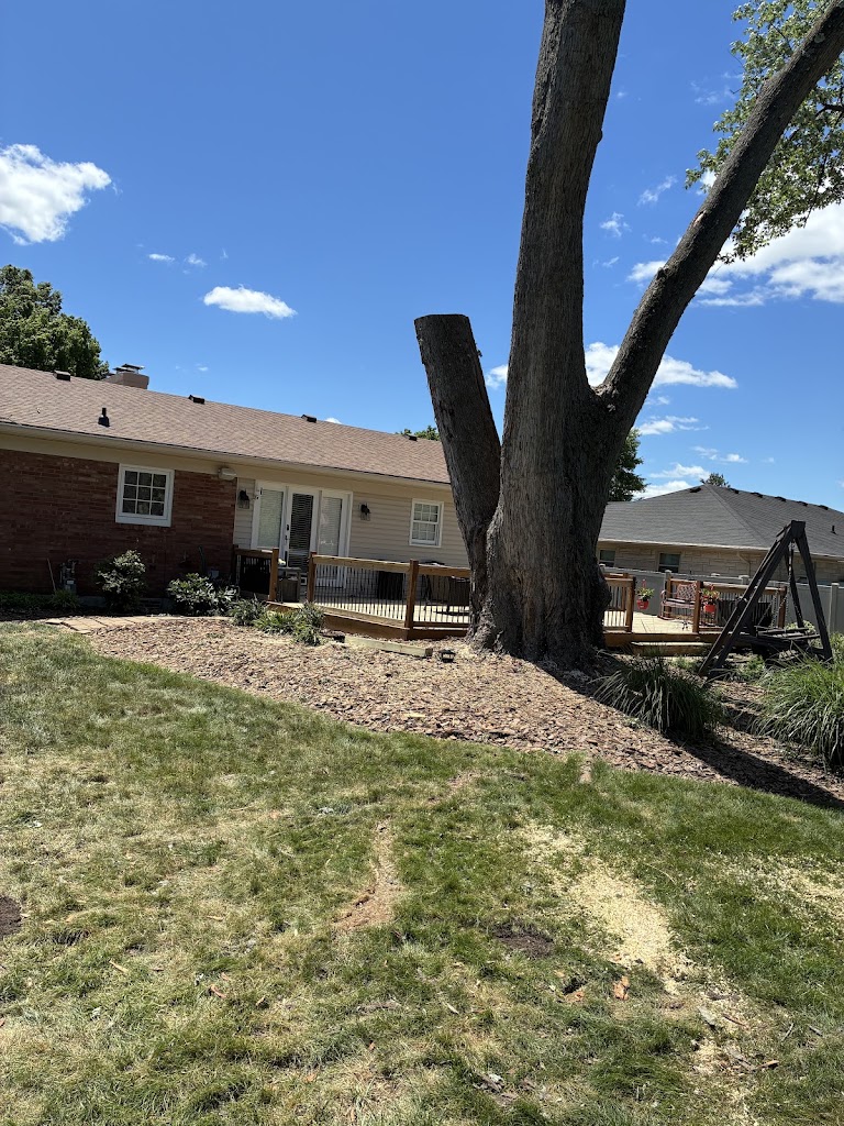 Image for Homestead Tree Service with ID of: 7200567