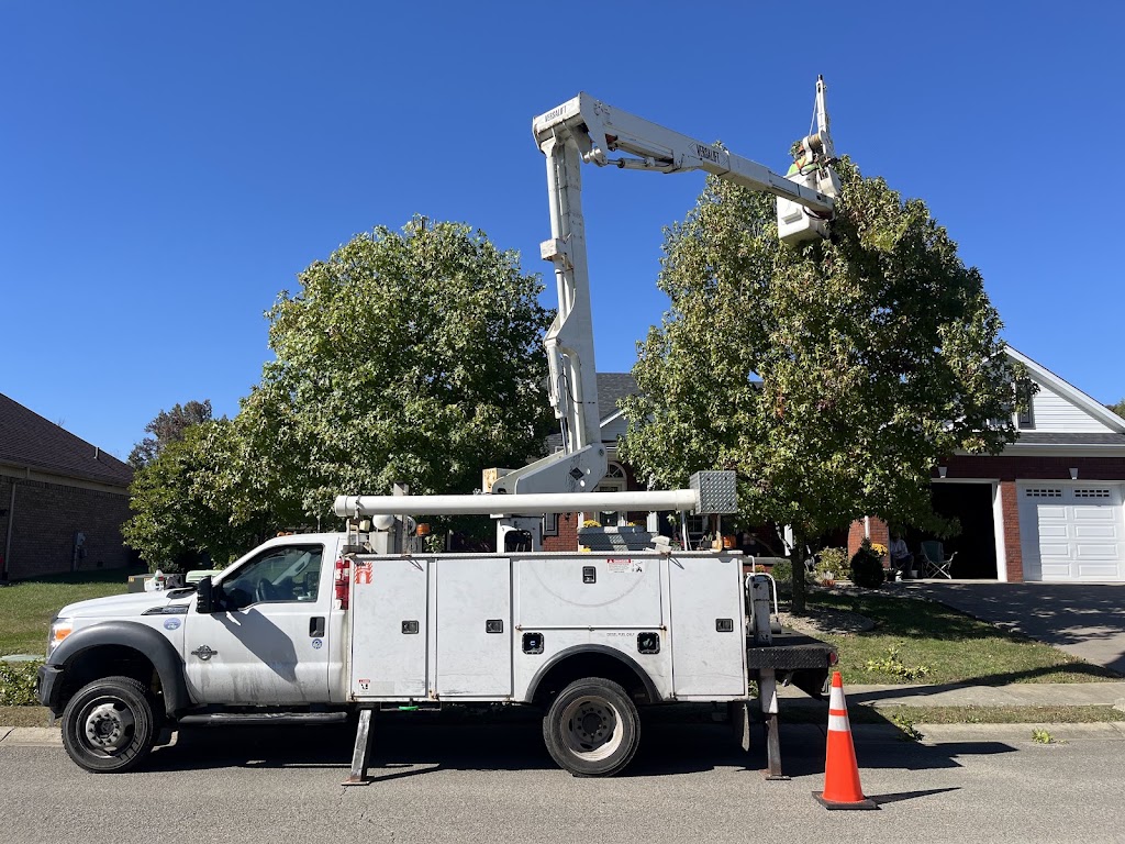 Image for Homestead Tree Service with ID of: 7200569